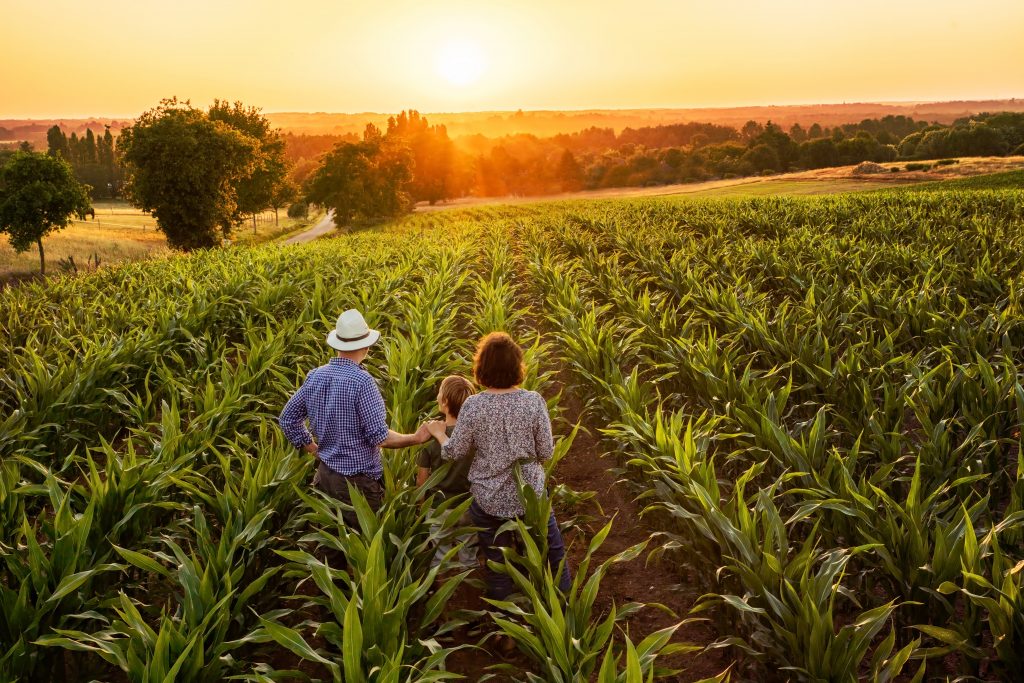 A Sustainable Farm: Family Owned Or High-tech? - All About Feed