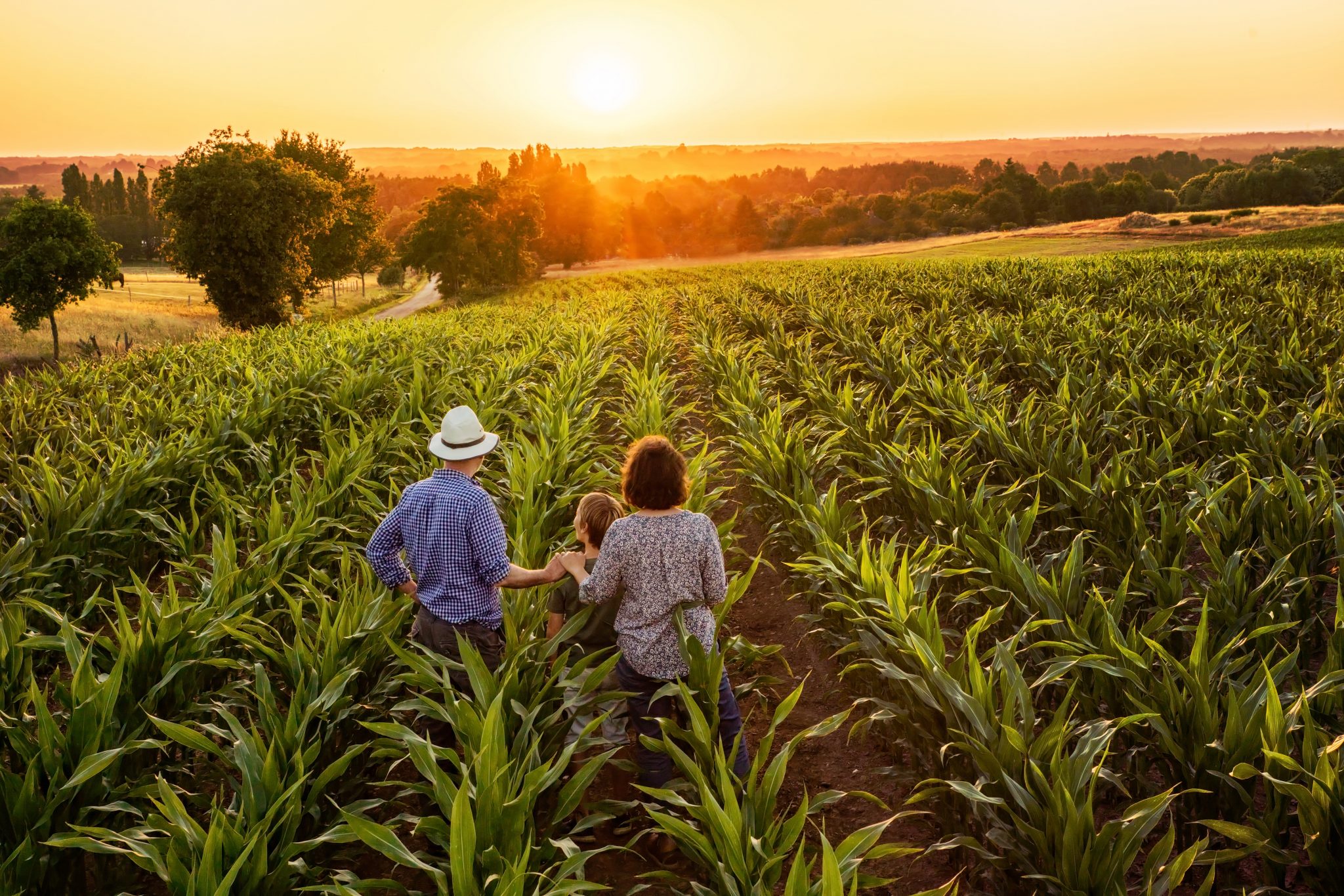 Sustainable Farm Names