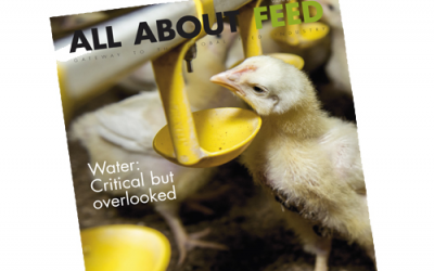 New issue of All About Feed now online