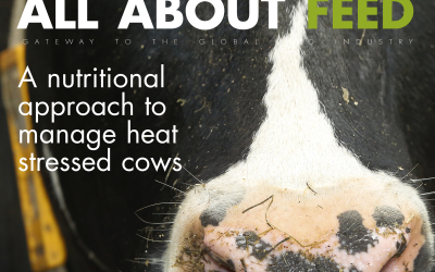 May edition All About Feed now online