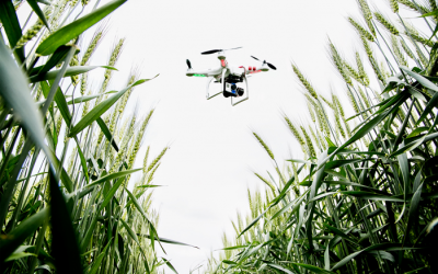 Drones give farmers eyes in the sky