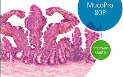 Sonac s new functional protein stimulates feed intake