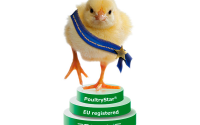 New probiotic from Biomin gets EU approval for poultry