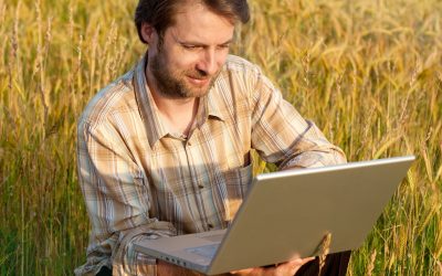 Business update: What's new in the feed industry? Photo: Shutterstock