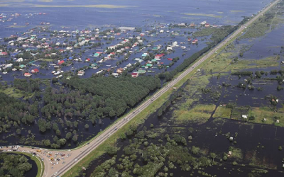 Russia: Flooding causes US$700mln in forage crop losses