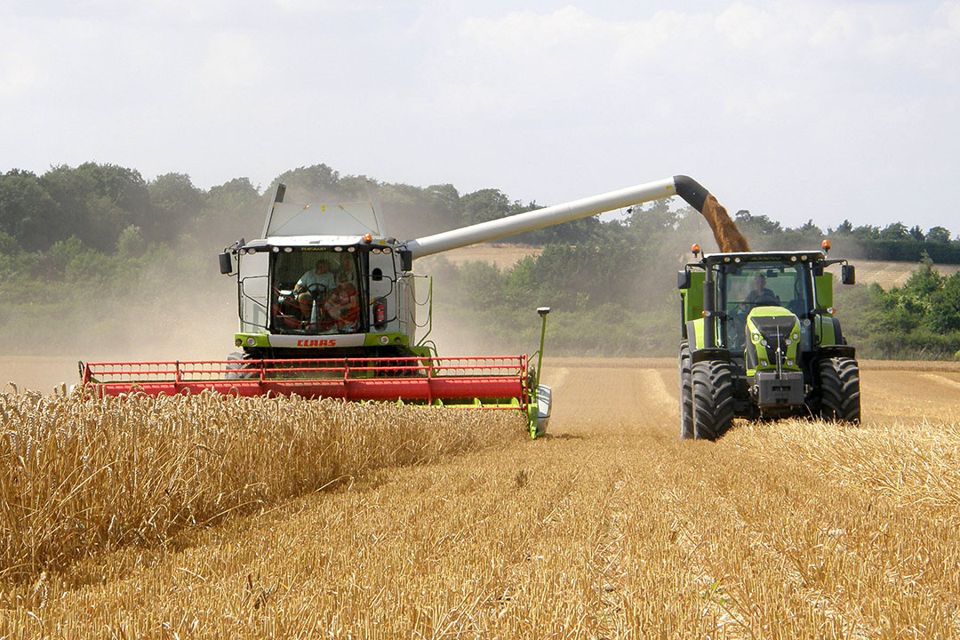 Challenging Season For Irish Arable Sector All About Feed