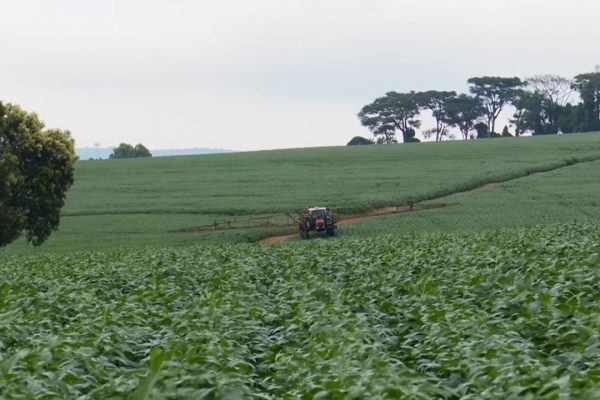 Brazil Forecasts A New Record For Grain Production - All About Feed