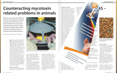 Mycotoxin Special magazine now online