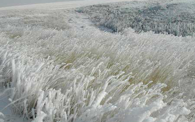 Farmers still working in UK’s extreme weather