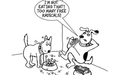 Antioxidants in petfood