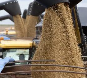 Russia does not need to continue grain export ban