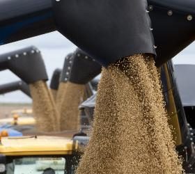 Russia expected to end its ban on grain export