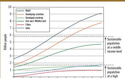 Sustainability is not a buzzword for DSM