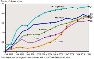 GM-soybeans have become regular in US