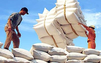 Vietnamese feed firms face lack of raw materials