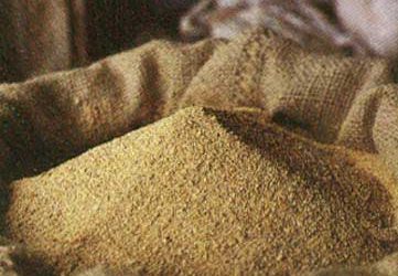 Thai animal feed producers to get breaks on quotas