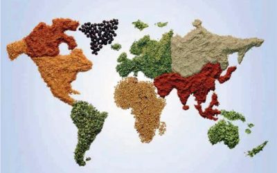 Global Survey: Feed production reaches record of 873 million tonnes