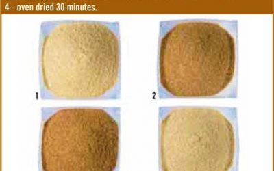 Amino acid digestibility in heated soybean meal