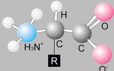 Amino acids market to grow 6.8% per year