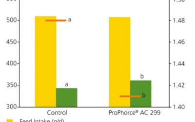 New acidifier improves electrolyte balance