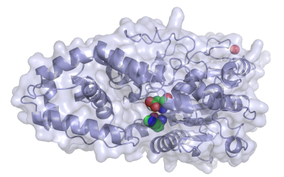 Understanding phytase characteristics to differentiate products