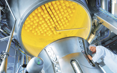 Fluid bed technology for tailor-made ingredients