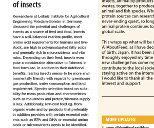 Potential and challenges of insects