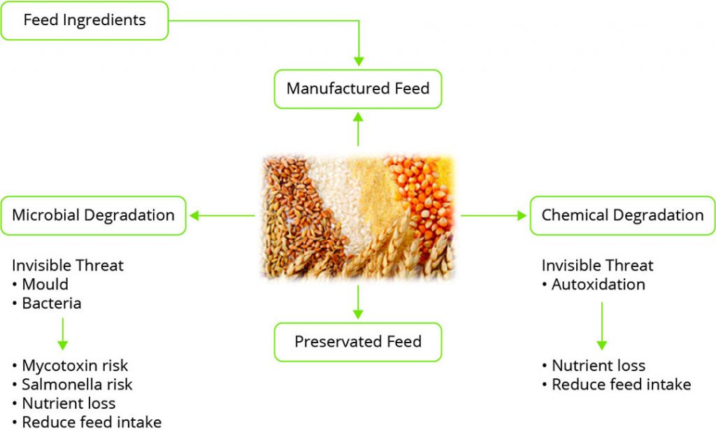 Management strategies that can secure feed quality All About Feed