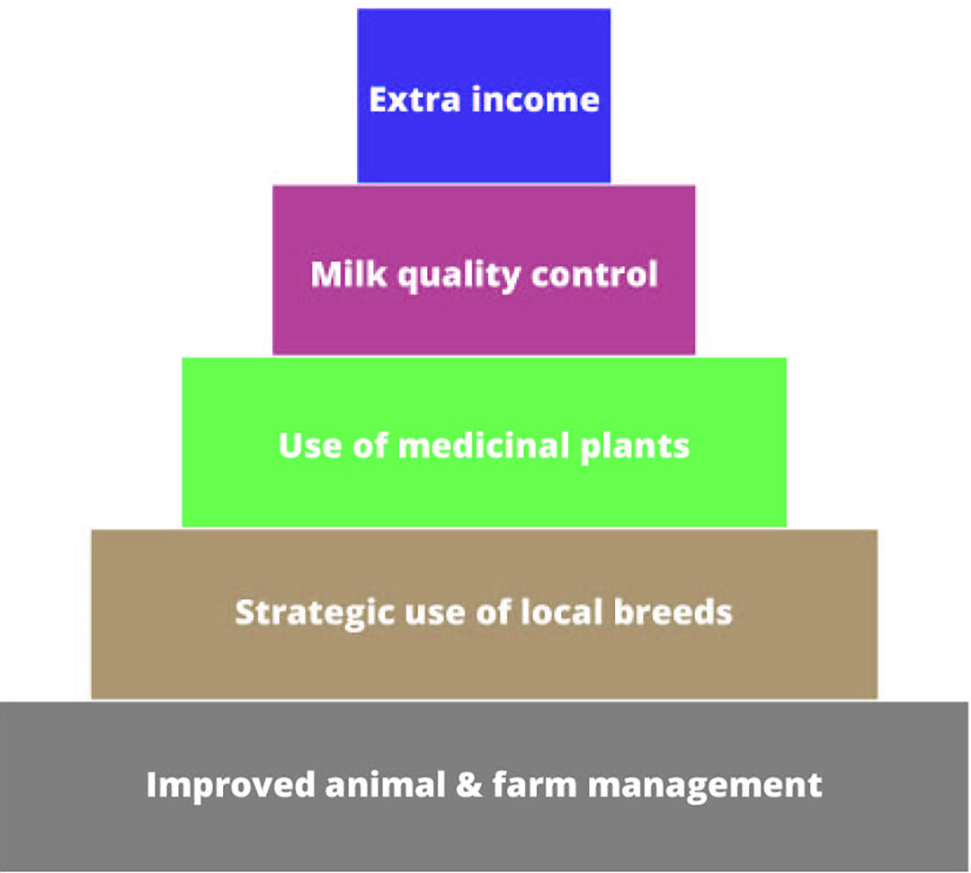 New Strategy To Reduce Antibiotics In Dairy Farming - All About Feed