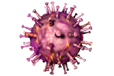 A nutritional approach involving plasma to mitigating ASF severity ...