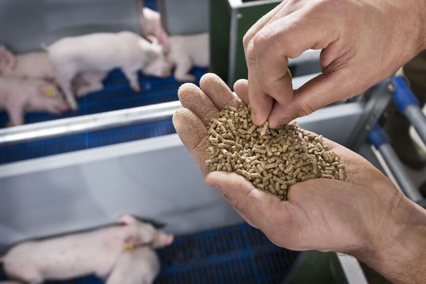 Sustainable feed: A journey from mill to farm practice - All About Feed
