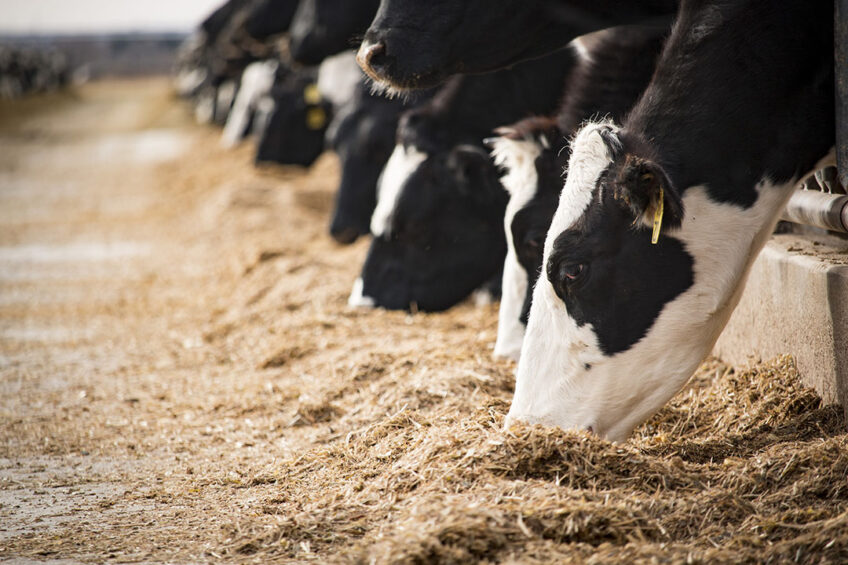 Sustainable Feed: A Journey From Mill To Farm Practice - All About Feed