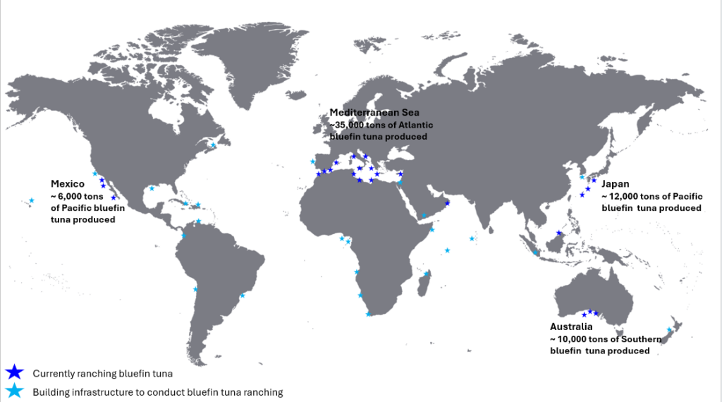 Map of global bluefin tuna ranching