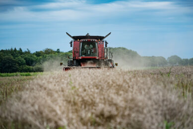 The lacklustre stock market quotations do not seem to be affected by the poor harvest forecasts. Photo: Canva