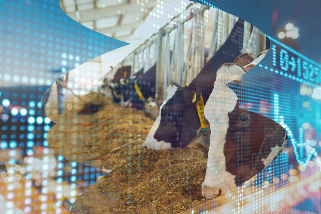 Amino acids markets: Prices cooling down - All About Feed