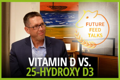 Maximise cow health: Vitamin D vs 25-hydroxy D3 supplementation