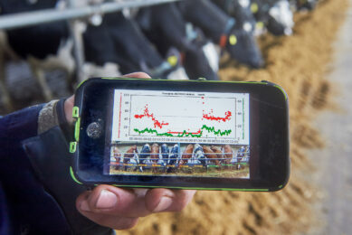 AI is being used more often on farms to monitor animals with sensors and cameras. Photo: Van Assendelft