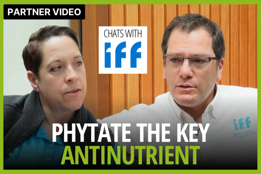 VIDEO: Phytate the key antinutrient