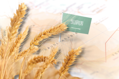 Saudi Arabia expects to produce 25% more wheat in 2024-25 for a total of 1.5 million tonnes. Photo: Canva