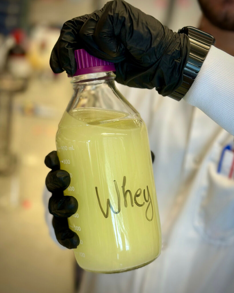 About 160.7 million m3 of whey is produced globally and this is increasing due to growth in dairy product demand. Photo: Constantinos Katsimpouras