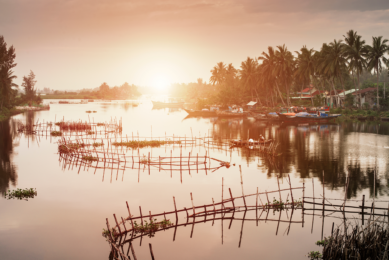 Vietnam is one of the largest producers of aquaculture in the world and over the past 25 years. Photo: Canva