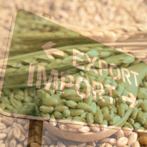 Russia sets the tone in grain trade