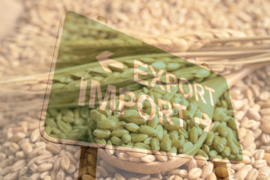 Russia sets the tone in grain trade