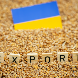 Russia has previously set minimum export prices, but many traders manage to get around them. This may soon also be the case in Ukraine. Photo: Canva