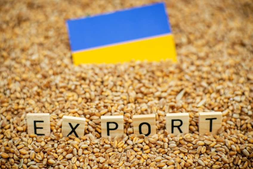 Russia has previously set minimum export prices, but many traders manage to get around them. This may soon also be the case in Ukraine. Photo: Canva