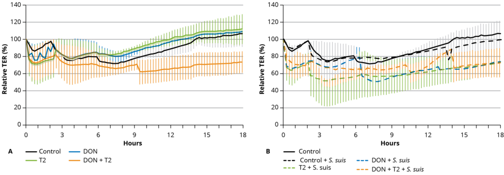 *The 2D organoid culture was continuously measured for 18 h post-seeding. (A) Treatments without S. suis (Control, DON, T2, and DON + T2); (B) Control group without S. suis (Control) and mycotoxins combined withS. suis exposure (Control + S. suis, DON + S. suis, T2 + S. suis, and DON + T2 + S. suis).