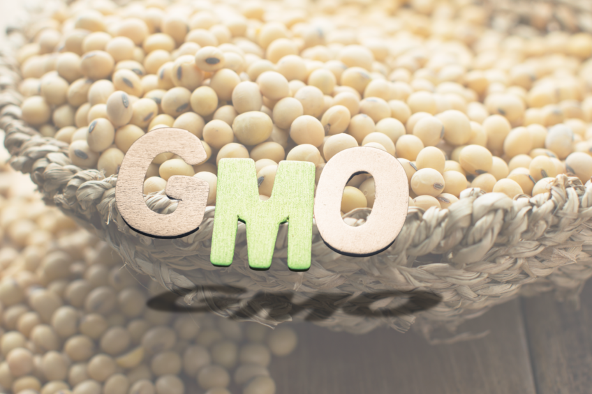 The ban on GMO soybeans could create problems for the Russian feed industry. Photo: Canva