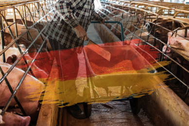 Germany’s pig feed especially showed good results with an increase of 1.7% nationally and of 6.5% in the northern regions of the country. Photo: Canva