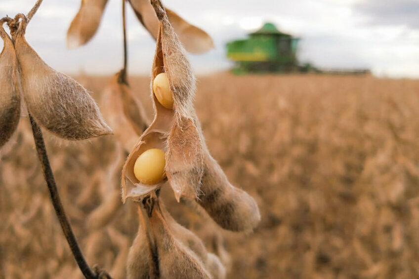 Photo: Confederação Nacional da Agricultura e Pecuária