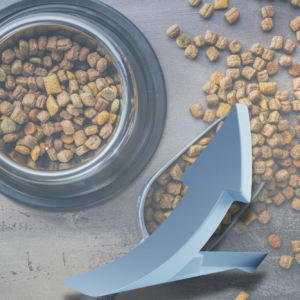 Rosstat also reported a 7.4% increase in pet food production in 2024, reaching 1.5 million tonnes. Photo: Canva